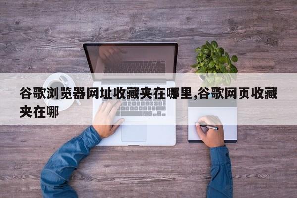 谷歌浏览器网址收藏夹在哪里,谷歌网页收藏夹在哪