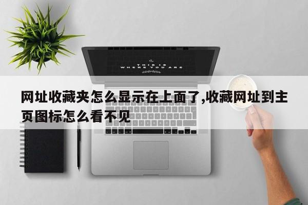 网址收藏夹怎么显示在上面了,收藏网址到主页图标怎么看不见